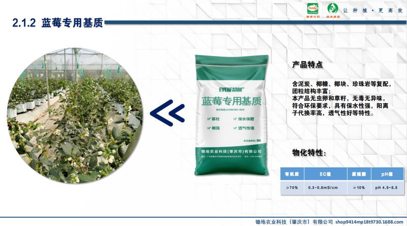 蓝莓专用进口配方营养土
