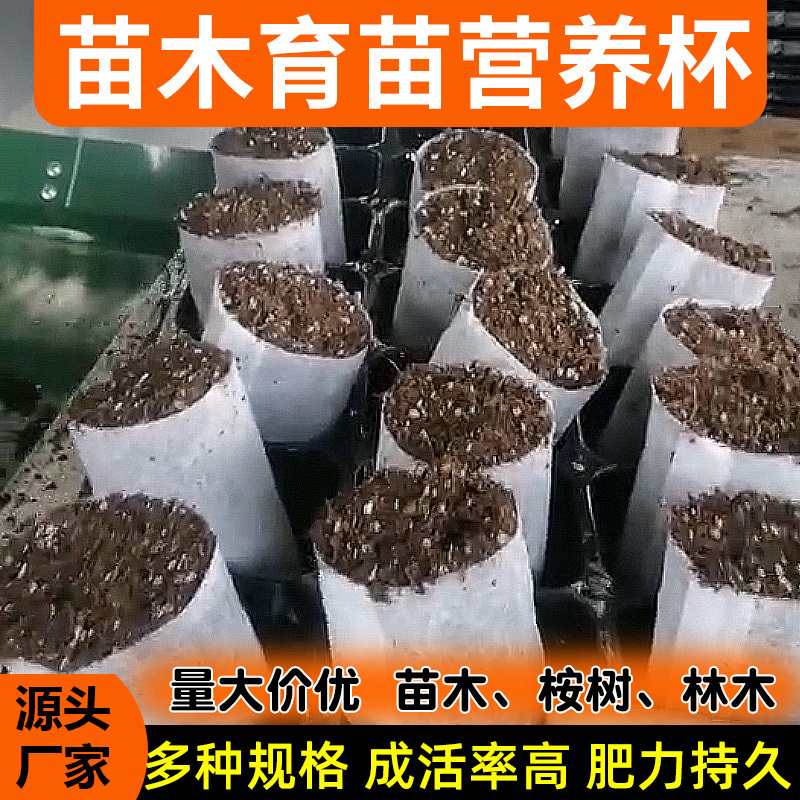 营养钵厂家直供桉树苗木药材育苗