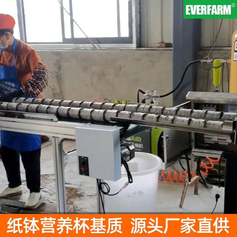 营养钵厂家直供桉树苗木药材育苗