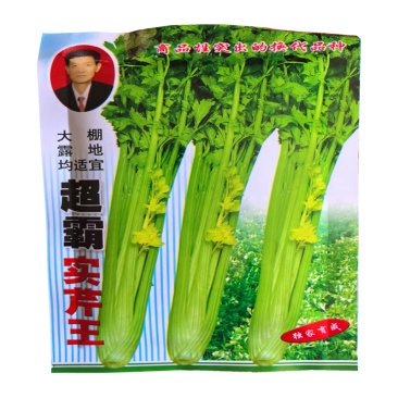 超霸实芹王芹菜种子抗寒耐热天津实心芹味浓香