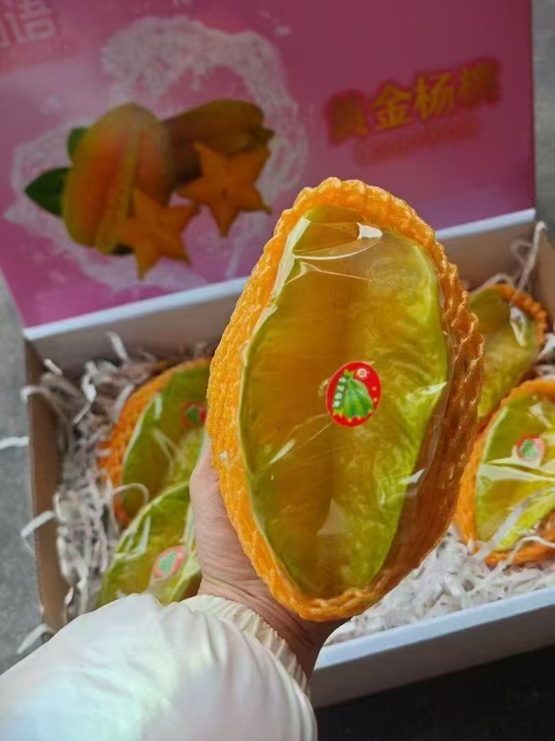 杨桃/一件代发/杨桃产地直发