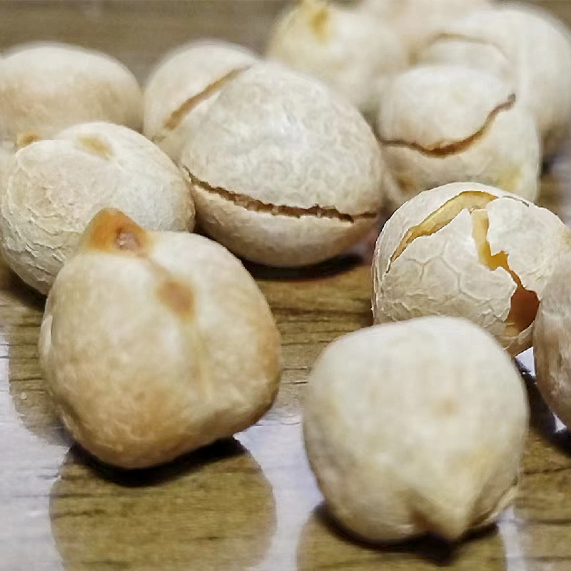 鹰嘴豆新疆木垒特产干炒生熟大中颗粒鹰嘴豆包邮批发