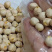 鹰嘴豆新疆木垒特产干炒生熟大中颗粒鹰嘴豆包邮批发