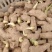 姜种（热卖推荐）大黄姜姜种大量现货供应，品质保证代发全国