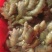 姜种（热卖推荐）大黄姜姜种大量现货供应，品质保证代发全国