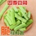 云南高山四季豆翠绿鲜嫩无丝专业一件代发对接抖音快手拼多多