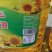 新疆葵花籽油20升正宗压榨食用油烹饪炒菜营养健康瓜籽油