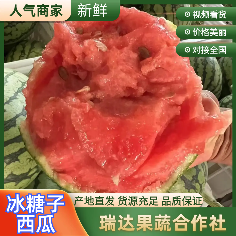 山东全美2K西瓜冰糖子小西瓜小吊瓜大量上市欢迎咨询