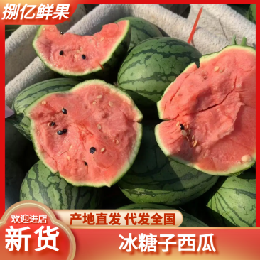 【实力商家】山东冰糖子西瓜手剥小西瓜大量现货整车发货