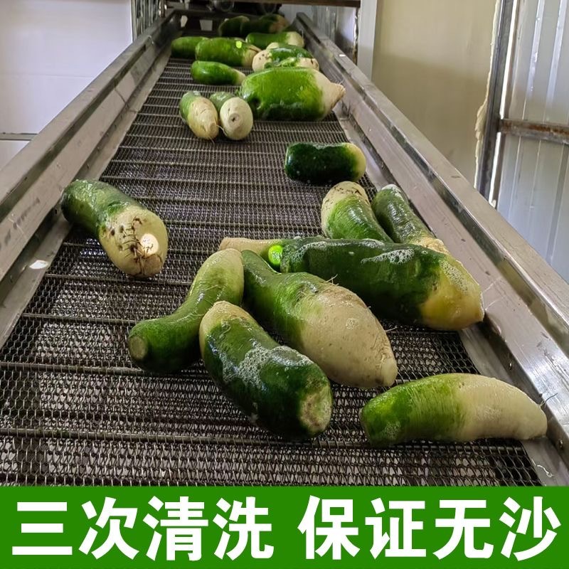 萝卜干水果萝卜干支持一件代发品质保证欢迎来电咨询