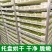 萝卜干水果萝卜干常年供应基地直发供应电商市场商超