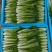 山东菏泽一手货源小白菜对接全国市场量大从优欢迎采购热卖中