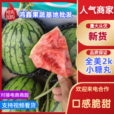 {推荐商家}全美2k小糖丸万亩基地，欢迎来电质量三包