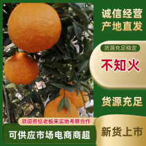 不知火又名丑柑，海量上市，味道脆甜，果面干净，颜色漂亮，