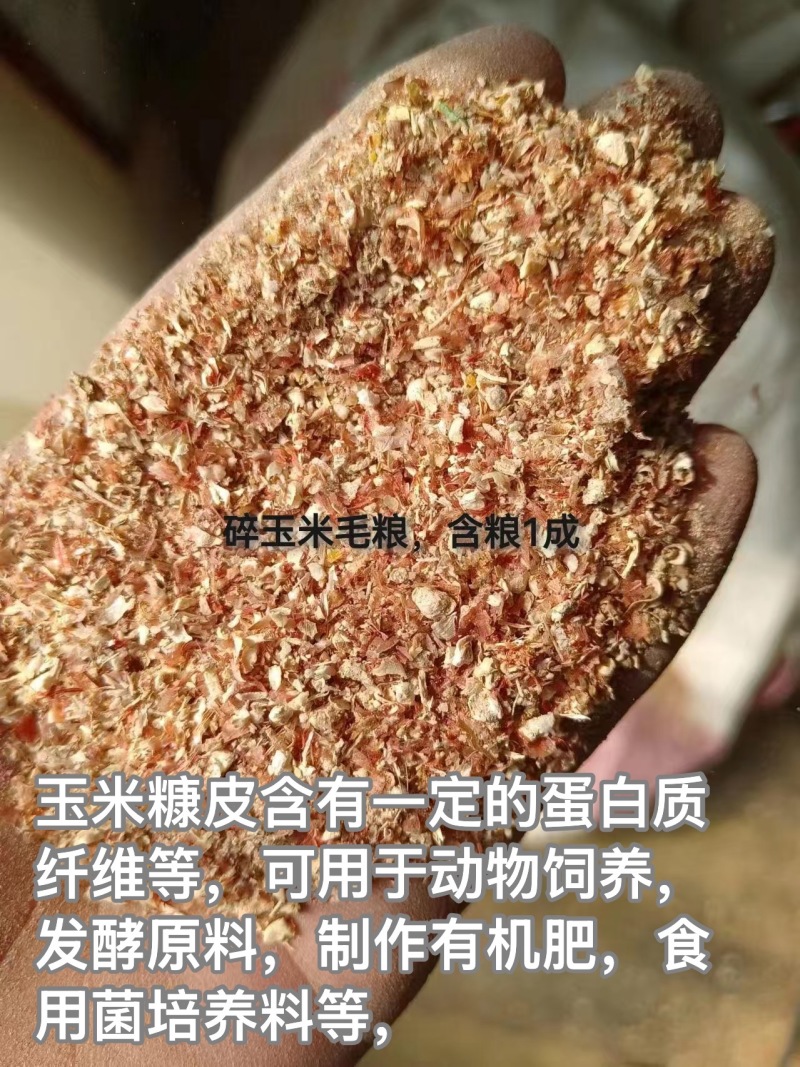 碎玉米600一吨起步价，饲料原料长期供应品质保障