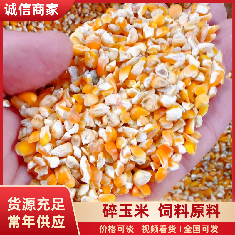 碎玉米600一吨起步价，饲料原料长期供应品质保障