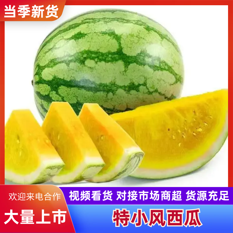 特小风产地一手货源，量大从优，欢迎致电