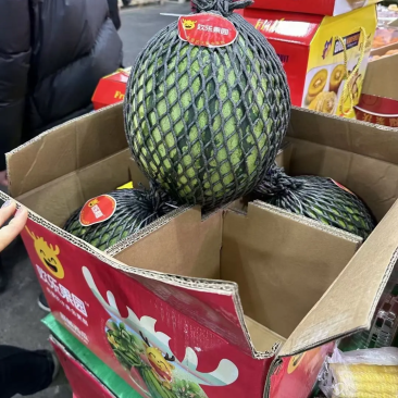 嘉年华5号，美都西瓜一手货源，量大从优，欢迎致电