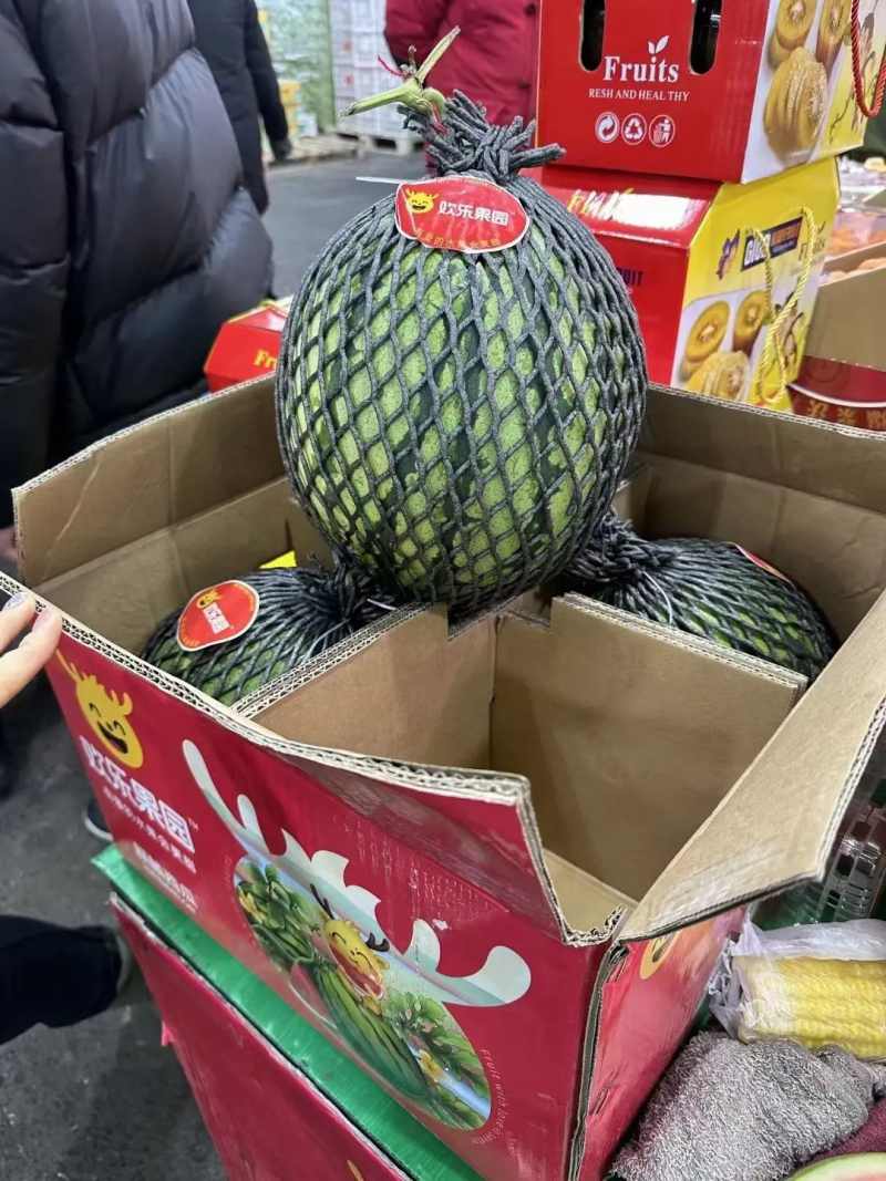 嘉年华5号，美都西瓜一手货源，量大从优，欢迎致电