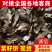 饲料级菜籽饼，价格便宜，常年供应，品质保证，欢迎来电