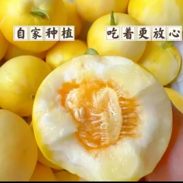 星甜甜瓜小蜜蜂蜜罐甜瓜小蜜罐甜瓜