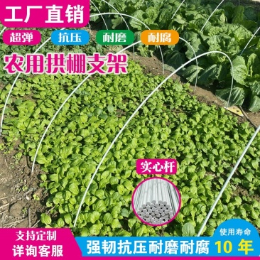 6mm玻璃纤维杆拱棚温室大棚育苗棚遮阳棚