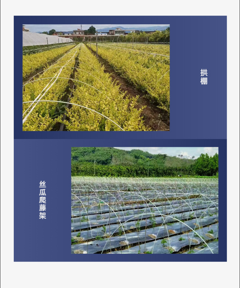 6mm玻璃纤维杆拱棚温室大棚育苗棚遮阳棚