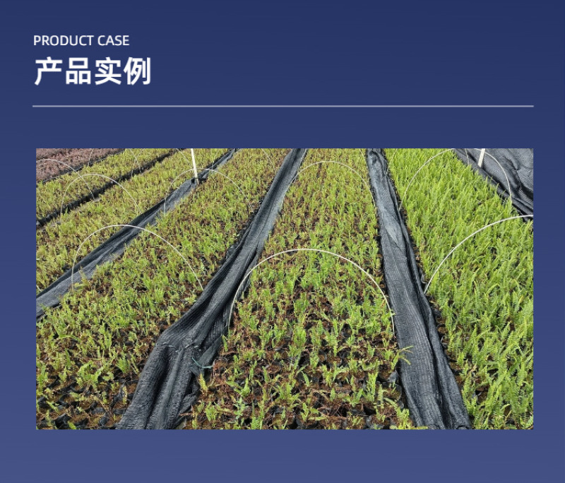 6mm玻璃纤维杆拱棚温室大棚育苗棚遮阳棚