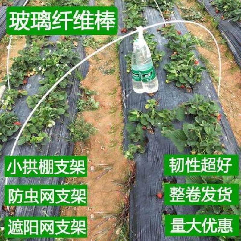 6mm玻璃纤维杆拱棚温室大棚育苗棚遮阳棚