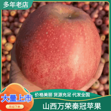 【秦冠苹果】山西万荣苹果次货出口果电商果加工果青都有红度三十