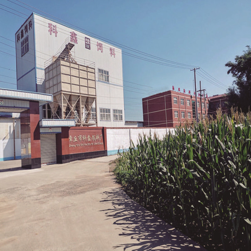 4%母牛复合预混合饲料，34年专业饲料生产企业直发。