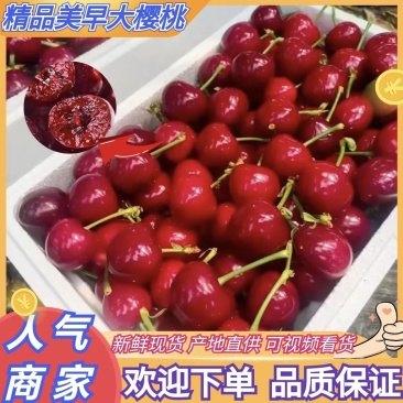 【优质】山东美早樱桃-产地直发-价格优惠-可视频看货