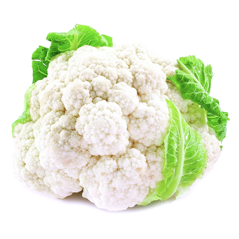 富士白4号花菜种子春秋大将紧实花椰菜种子8克中熟