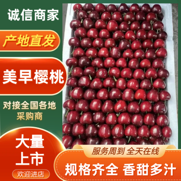 【全国代发】美早，红灯大樱桃新鲜采摘大量上市