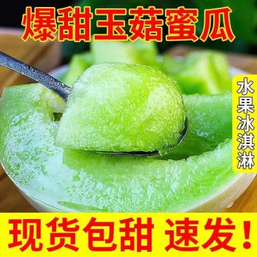 玉菇甜瓜冰淇淋甜瓜一件代发
