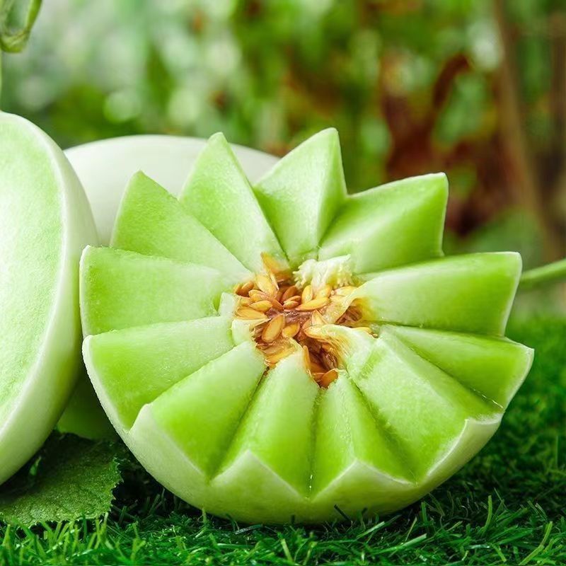 玉菇甜瓜冰淇淋甜瓜一件代发