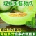 玉菇甜瓜冰淇淋甜瓜一件代发