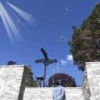 向荣伟的一亩田店铺