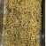 金银花云南野生金银花金银花大货批发