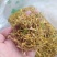 金银花云南野生金银花金银花大货批发