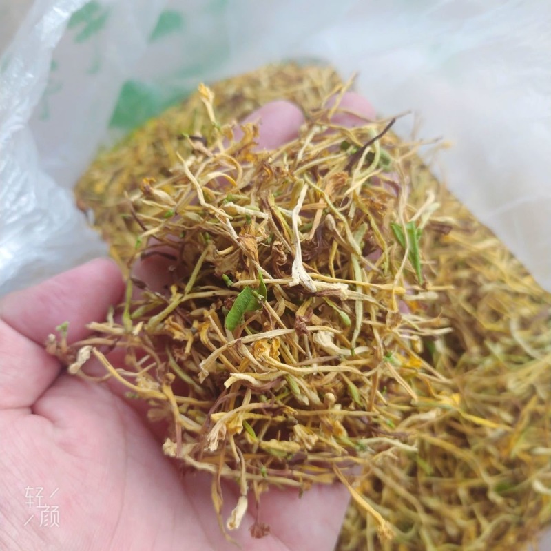 金银花云南野生金银花金银花大货批发