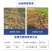 精草铵膦铵盐果园荒地茶园除草剂非耕地杂草不伤根系土壤