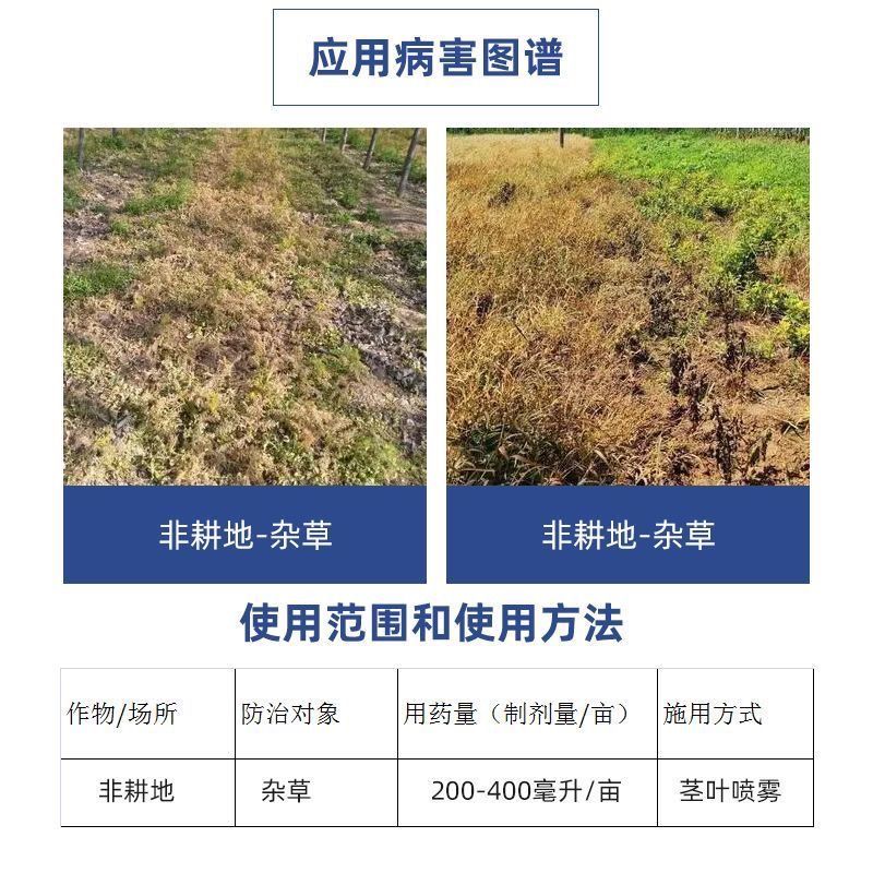 精草铵膦铵盐果园荒地茶园除草剂非耕地杂草不伤根系土壤