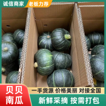 【实力商家】正宗贝贝南瓜软糯香甜抖音快手多多一件代发