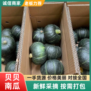 【实力商家】正宗贝贝南瓜软糯香甜抖音快手多多一件代发