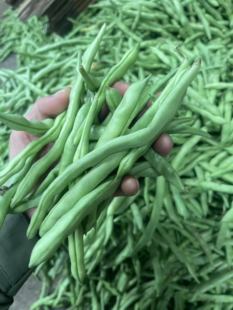 【实力商家】云南无筋豆高山四季豆翠绿一件代发抖音快手多多