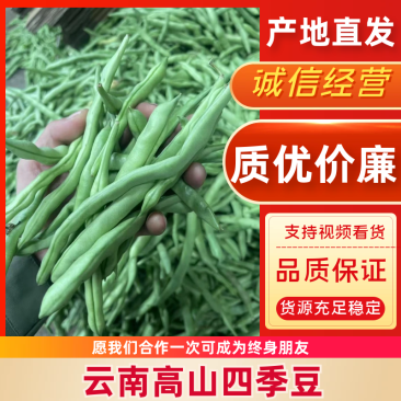 【实力商家】云南无筋豆高山四季豆翠绿一件代发抖音快手多多