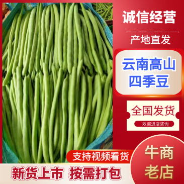云南高山四季豆翠绿鲜嫩无丝专业一件代发对接抖音快手拼多多