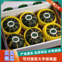 贝贝南瓜专业代发对接抖音快手拼多多对接各大平台一件代发