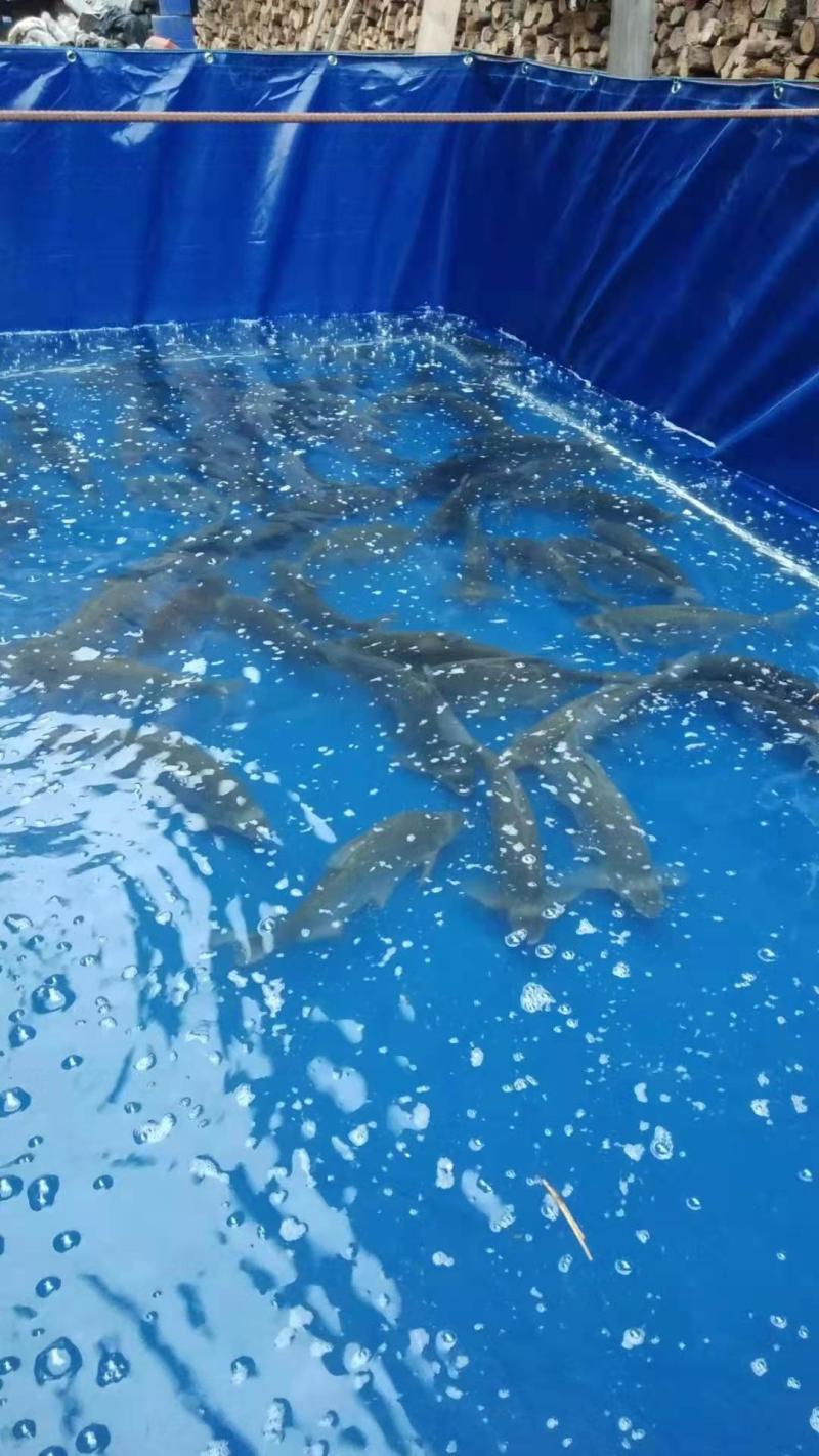 水产养殖帆布水池